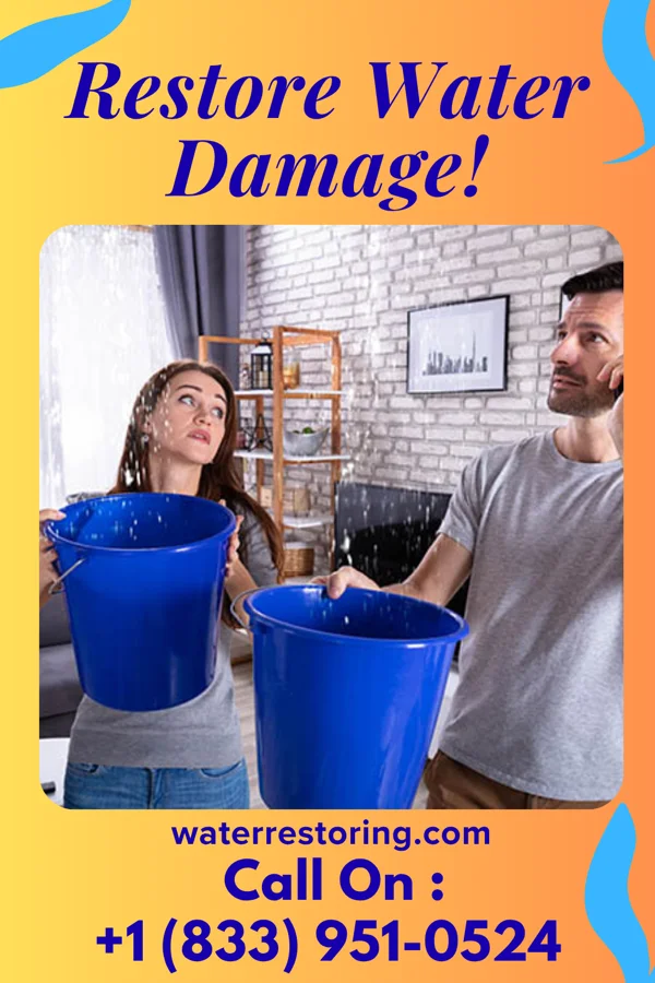 water restoration Solid Restoration Solutions Brothers Northport