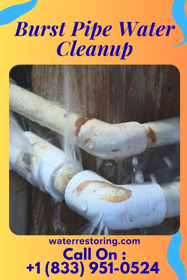 Burst Pipe Water Cleanup in Northport, NY