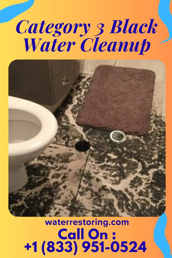 Category 3 Black Water Cleanup in Northport, NY