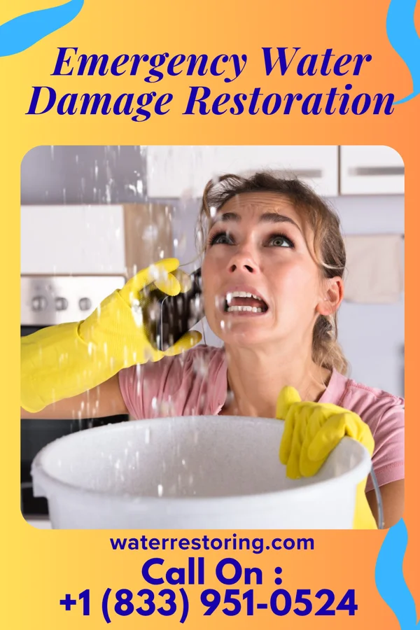 Emergency Water Damage Restoration in Northport, NY