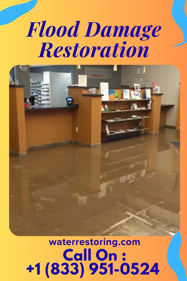 Flood Damage Restoration in Northport, NY