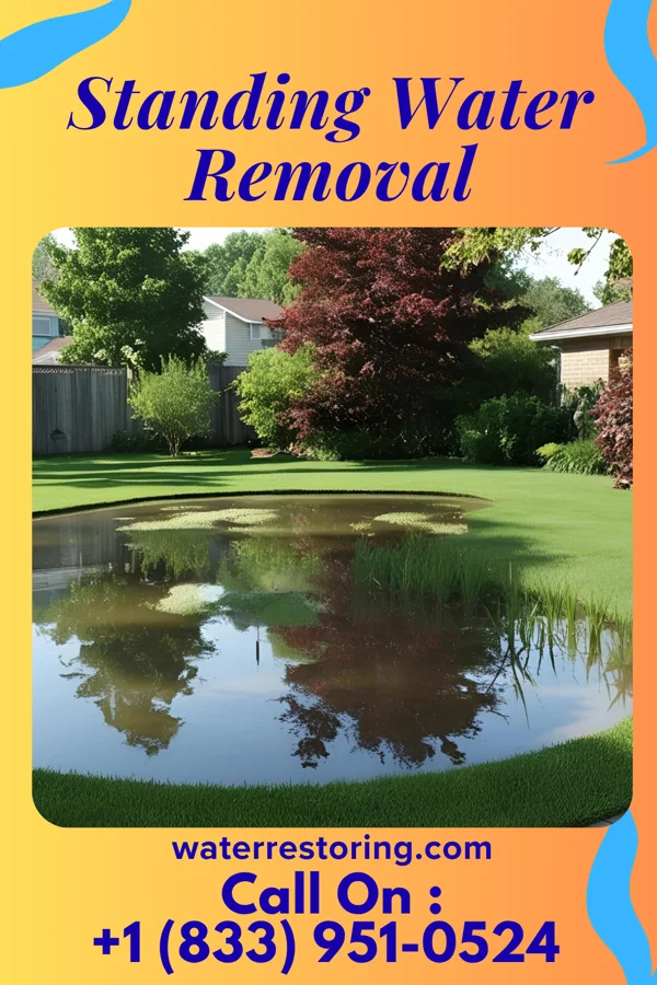 Standing Water Removal in Northport, NY